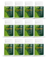 12 Pack Cognisa, support memory and focus-60 Capsules x12 - €272,15 EUR 12 Pack Cognisa, support memory and focus-60 Capsules x12 - €272,15 EUR