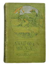 A Waif of the Mountains by Edward Sylvester Ellis 1905 Hardcover Rare - £55.94 GBP