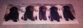 Vintage 1995 Andrea Mandel Portal Poster 11.75x36 Inches Puppies - £16.54 GBP