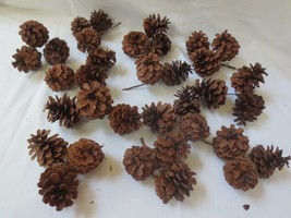Pinecone Floral Picks Vintage Natural wired 12 pc of 3 = 36 Arrangements... - £11.79 GBP