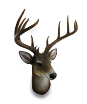 12 Point Buck Deer Head Bust Wall Hanging Lodge Decor Trophy Mount 23.5 Inches - £77.86 GBP