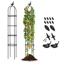 2-Pack Garden Obelisk Trellis for Climbing Plants-Black - $83.49
