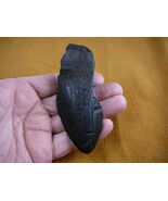 (sp200-107) 4-3/8&quot; Fossil Shark Tooth teeth MEGALODON partial sharks fra... - €31,53 EUR