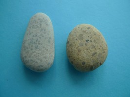 Natural Ocean Sea Rock Stones fossil from Baltic Sea Beach - $2.45
