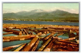 River Log Jam Float Port Angeles Washington Logging History Postcard Unposted - £3.65 GBP