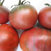 Organic Cherokee Chocolate Tomato Fresh Seeds USA - £6.18 GBP