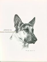 #36 GERMAN SHEPHERD portait dog art print * Pen and ink drawing * Jan Je... - $12.50