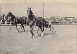 Harness Racing RPPC During a race - £18.63 GBP