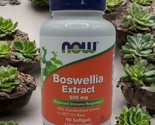 NOW Foods Boswellia Extract 500 mg 90 Softgel Immune Response MCT Oil Ex... - £13.39 GBP
