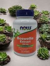 NOW Foods Boswellia Extract 500 mg 90 Softgel Immune Response MCT Oil Ex... - £13.40 GBP