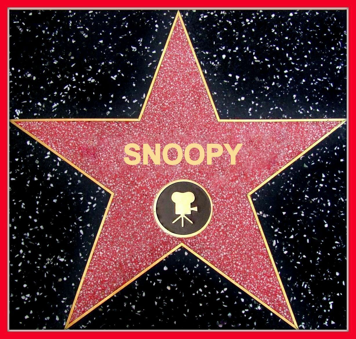 CUSTOMIZED HOLLYWOOD WALK OF FAME STAR STICKER DECAL ADD YOUR NAME ALL SIZES - £5.81 GBP - £9.70 GBP
