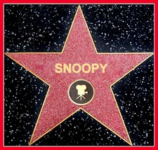 Customized Hollywood Walk Of Fame Star Sticker Decal Add Your Name All Sizes - £5.76 GBP+