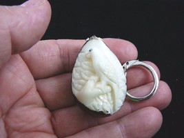 (TNE-BIR-PAR-254) Parrot tropical bird TAGUA NUT keychain carving I love... - £12.84 GBP