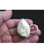 (TNE-BIR-PAR-254) Parrot tropical bird TAGUA NUT keychain carving I love... - $306.91 MXN