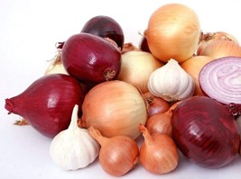 Bulk 1000 Seeds Onion Assortment Seeds Sweetest Healthful - £7.17 GBP