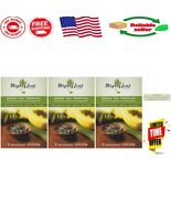 Delight in Tropical Green Tea - 15 Pouches of Artisan Craftsmanship, Pac... - $95.10 CAD