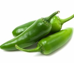 130 Jalapeno Pepper Heirloom Open Pollinated Vegetable Seeds - £14.83 GBP