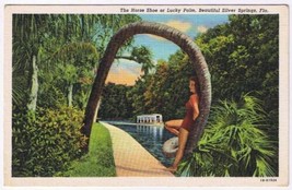 Florida Postcard Silver Springs Horse Shoe Or Lucky Palm  - £1.64 GBP