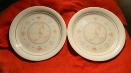 CORELLE COUNTRY PROMENADE 8.5 INCH LUNCH PLATES X 2 GENTLY USED FREE USA... - $18.69