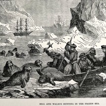 Seal Walrus Hunt Frozen Sea Wood Engraving 1887 Victorian Hunting Art DWEE20 - £39.95 GBP