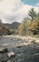 Swift River Kancamagus Wilderness New Hampshire NH Autumn Foliage Postcard C28 - $2.99