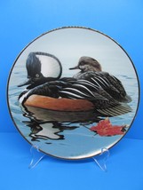 American Waterbirds  &quot;Hooded Mergansers&quot; By Artist Rod Lawrence  Plate #4743 VGC - £15.18 GBP