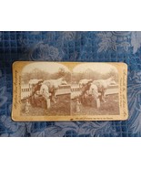 Stereocard Steroeview Keystone View Company Farmer Milking Cow Feeding C... - $27.20 CAD