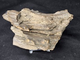 Petrified Wood Log Large Natural Decorative Crystal (07) - $34.68 CAD