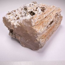 Paulina Pink Petrified Limb Cast Agate 5&quot; 3lb 11oz Rough Lapidary Gemstone - $148.49