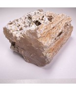 Paulina Pink Petrified Limb Cast Agate 5&quot; 3lb 11oz Rough Lapidary Gemstone - $148.49