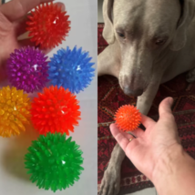 Dog Squeaky Spiky Balls Toys Playing And Cleans Dental 12pcs Promotes Ba... - $23.03