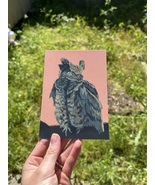 Nightjar Individual Post Card - $93.47 MXN