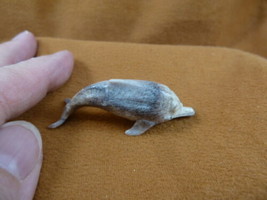 Dolph-17 little swimming Dolphin of shed ANTLER figurine Bali detailed c... - $28.04