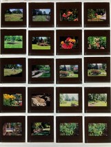 Lot Of 20 Vintage Flowers Garden Photos 35mm Slides - £23.59 GBP