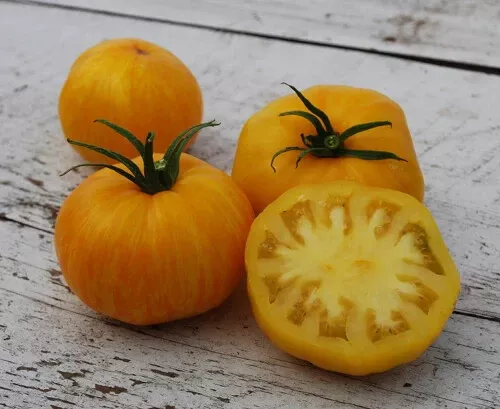 50 Seeds Pork Chop Tomato Vegetable Garden - £7.78 GBP