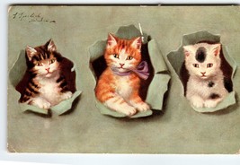 Calico Orange Kitten Cats  Postcard  German American Novelty 730 Sophie Sperlich - £10.66 GBP