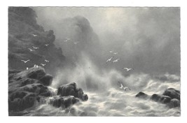 Adolf Kaufmann Seascape Rocks Surf Gulls Rembrandt Gravure AS Postcard - $9.99
