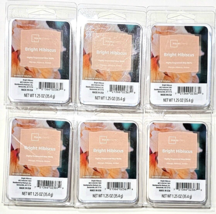 6 Pack Mainstays Bright Hibiscus Highly Fragranced Wax Melts Mango Amber 1.25oz - £20.44 GBP