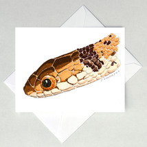 DeKay&#39;s Brown Snake Note Cards - £3.19 GBP+