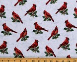 Cotton Birds Animals Winter Snow Trees Christmas Fabric Print by Yard D4... - $13.95
