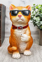 No Pussies Here! Tabby Cat With Shades Flipping The Bird Middle Finger F... - £17.68 GBP