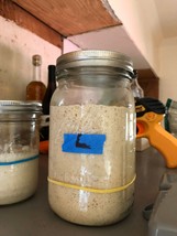 Sour dough starter california foothills 150+ yr old sourdough starter LA... - $7.09