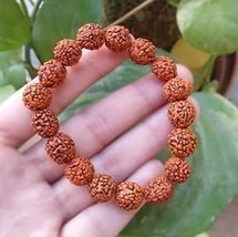 Rudraksha Bracelet foe Unisex/ Rudraksha Bracelet for Men/ Rudraksha Bra... - £19.97 GBP