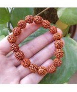Rudraksha Bracelet foe Unisex/ Rudraksha Bracelet for Men/ Rudraksha Bra... - €21,60 EUR
