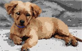 Pepita Needlepoint kit: Golden Retriever Puppy, 10&quot; x 6&quot; - $50.00+