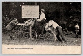 Delaware Water Gap PA Stubborn Mule True Ridge Path To Mt Minsi Postcard F31 - £9.66 GBP