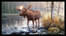 24.5&quot; X 44&quot; Panel Moose Northwoods Animal Morning Glory Cotton Fabric D483.46 - £6.96 GBP