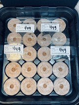 MX Onion Greenhouse Kit Bundle Bulk Seed - $616.84 MXN