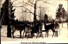 Greetings From Allenville MI-RPPC Postcard -FEEDING Deer In Snow -BK45 - £3.88 GBP