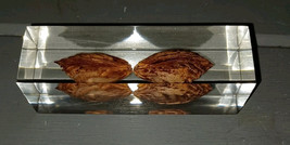 Vintage Peach Pits Encased In Lucite Paperweight - $184.03 MXN